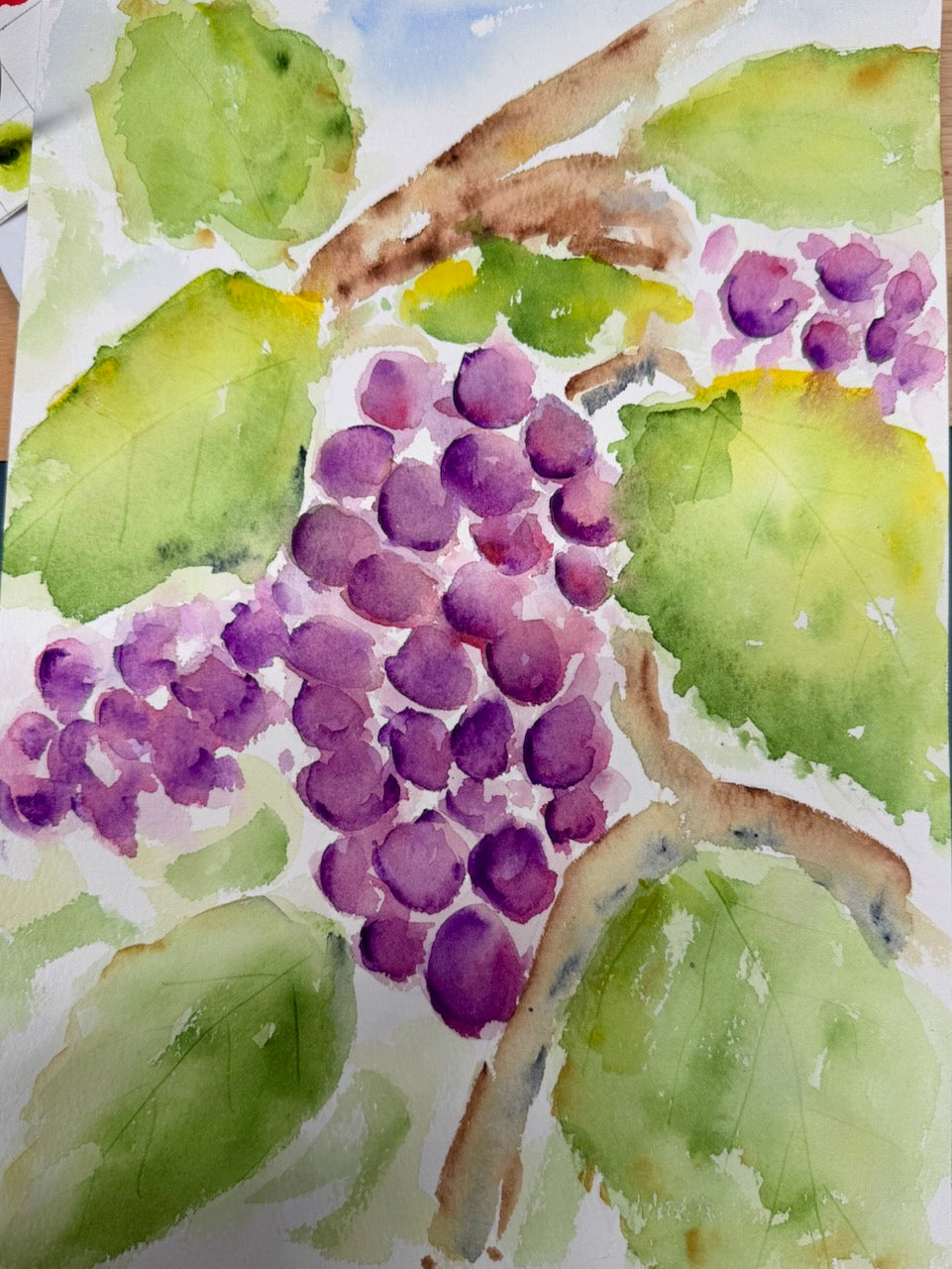 Grapes & Vine Leaves Online Totorial