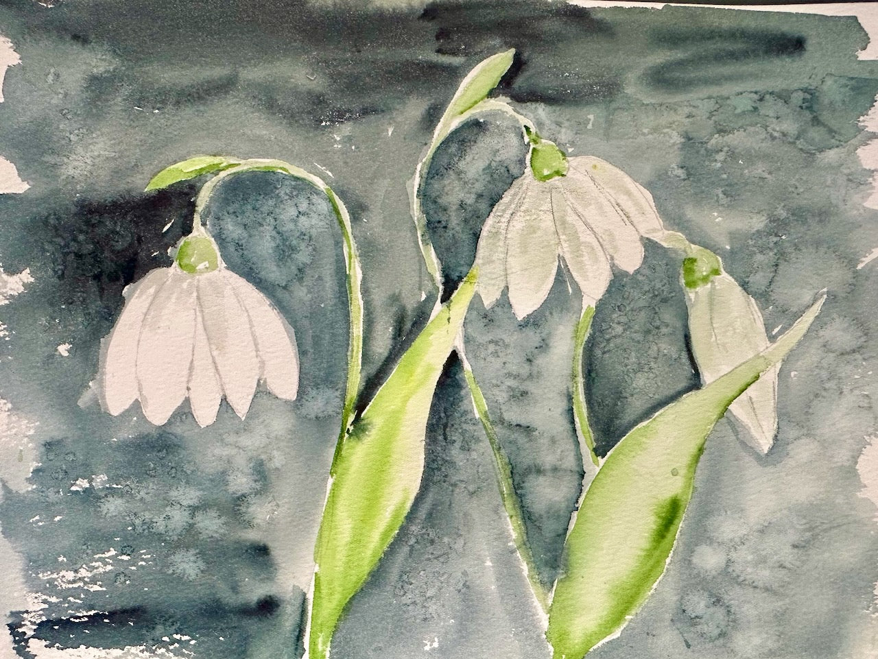 Snow Drops Online Tutorial