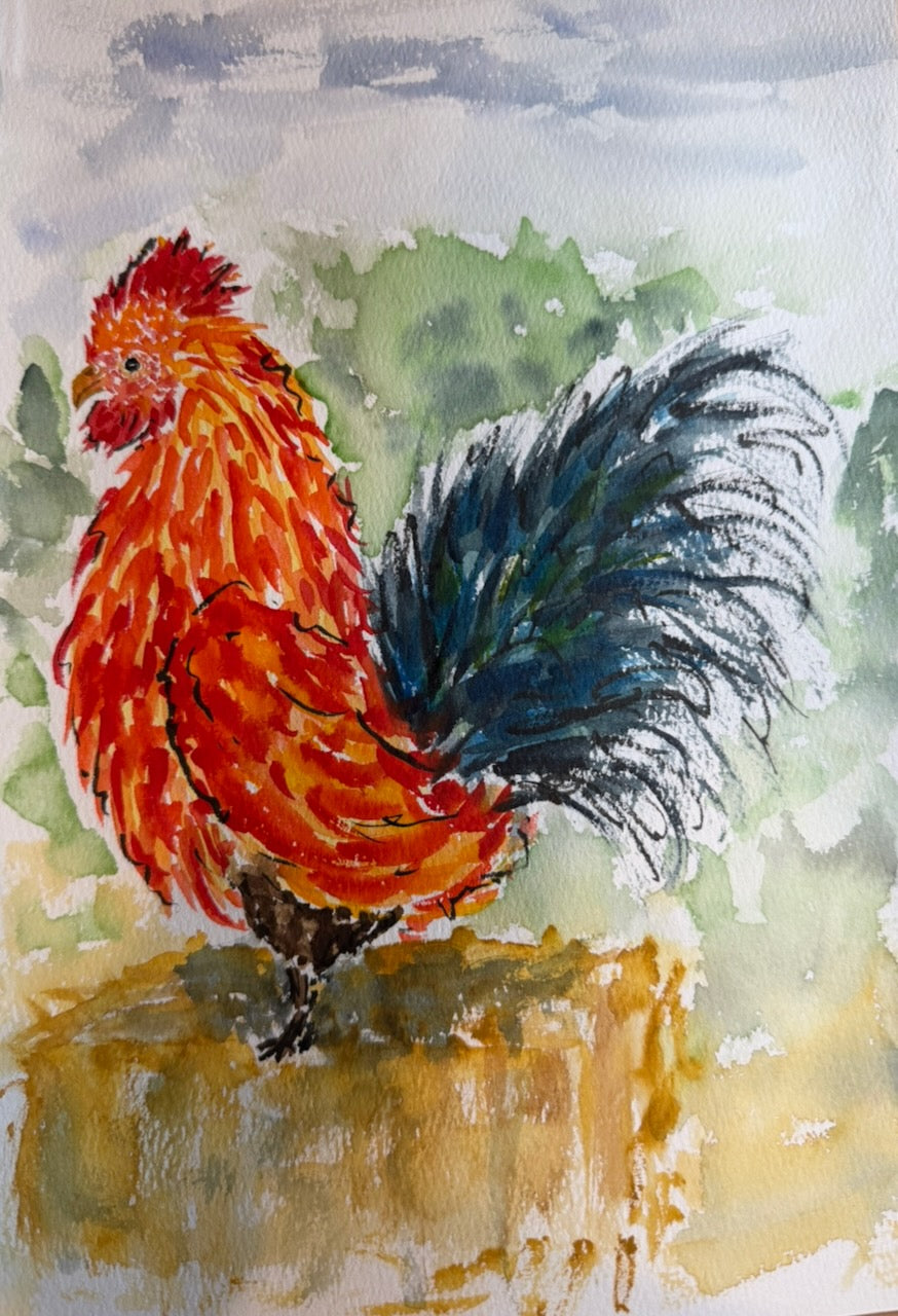 The Rooster