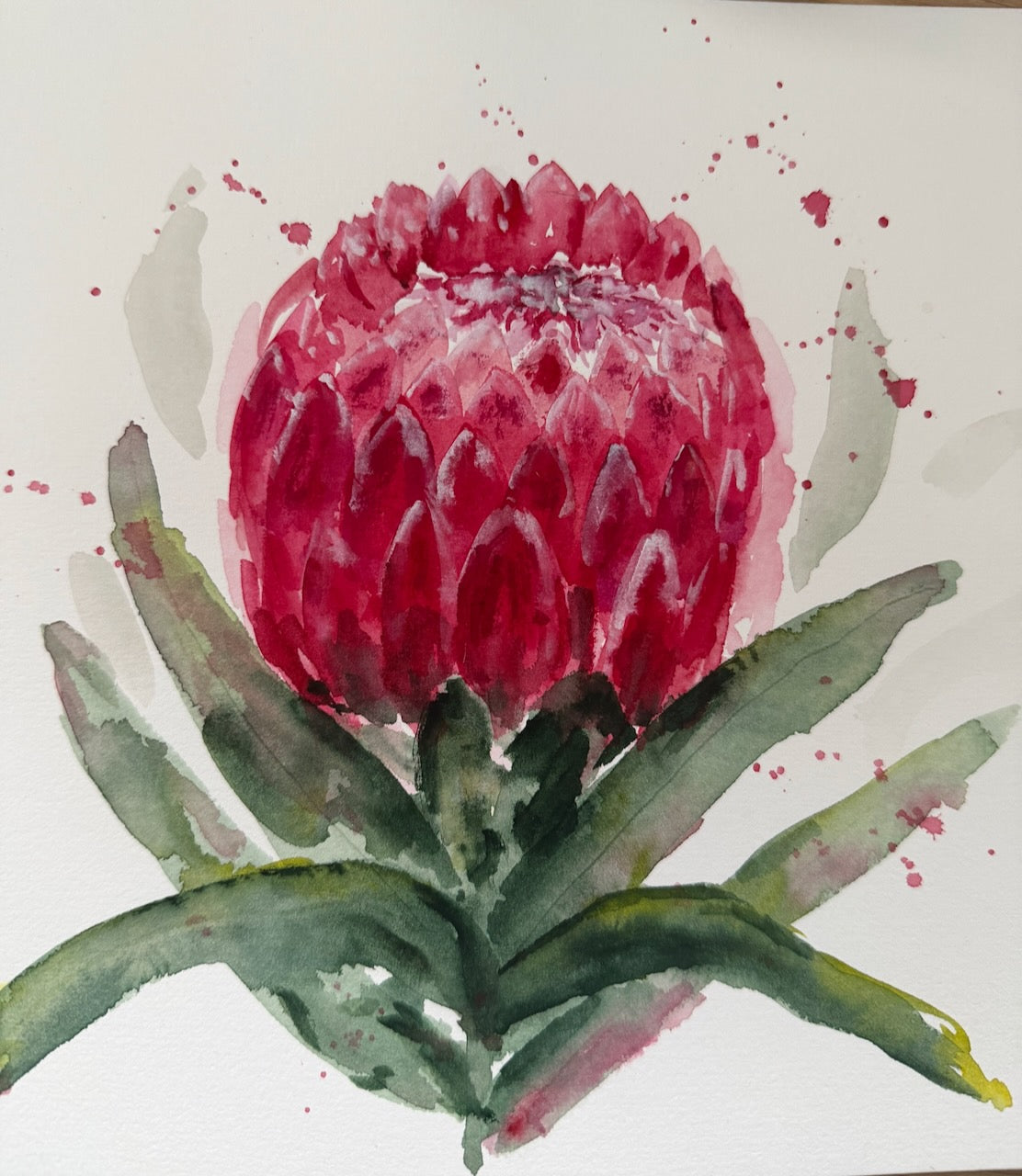 Protea & Australian Natives Online Watercolour Tutorial