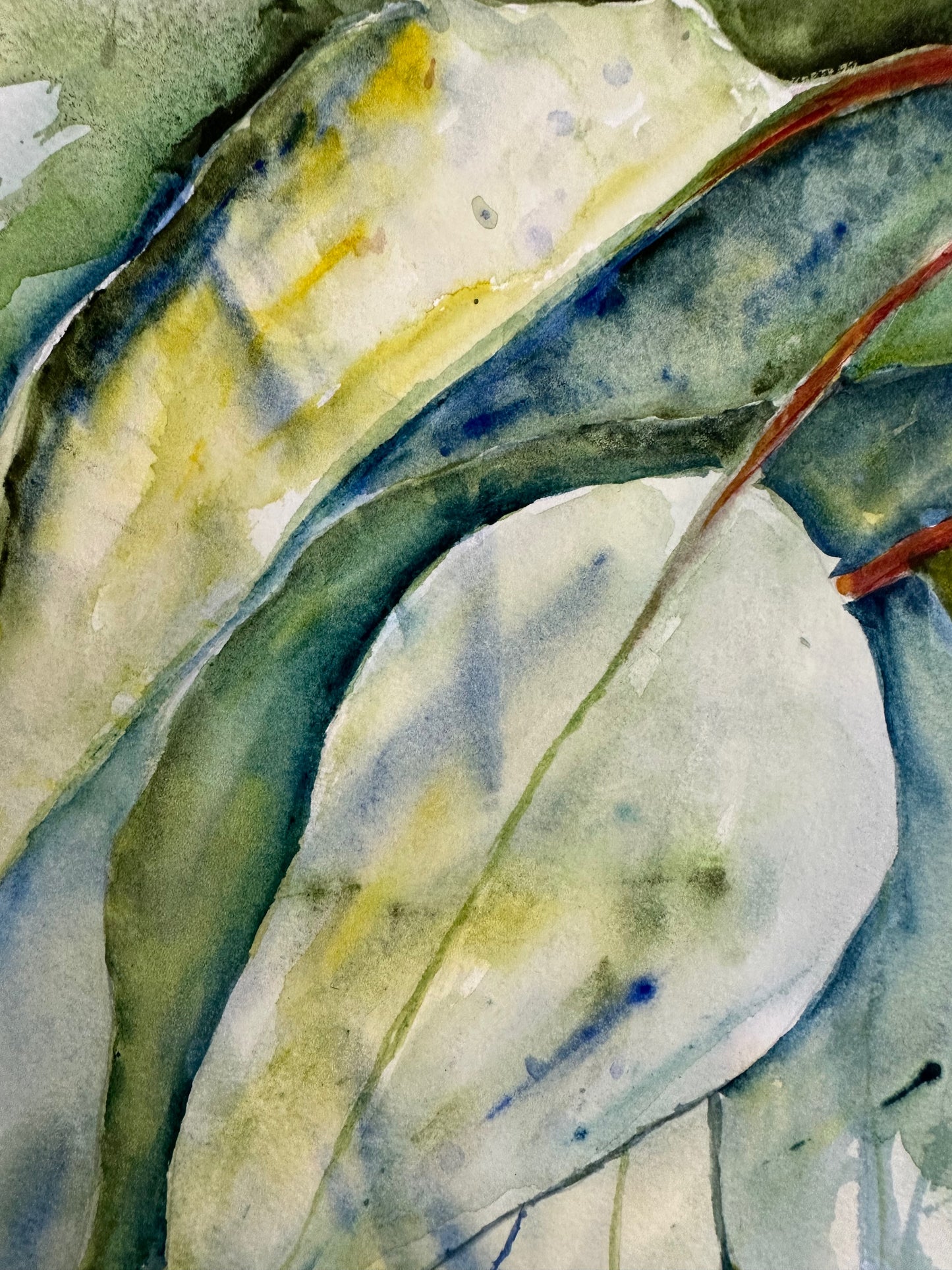 Gum Leaf Watercolour Original Artwork
