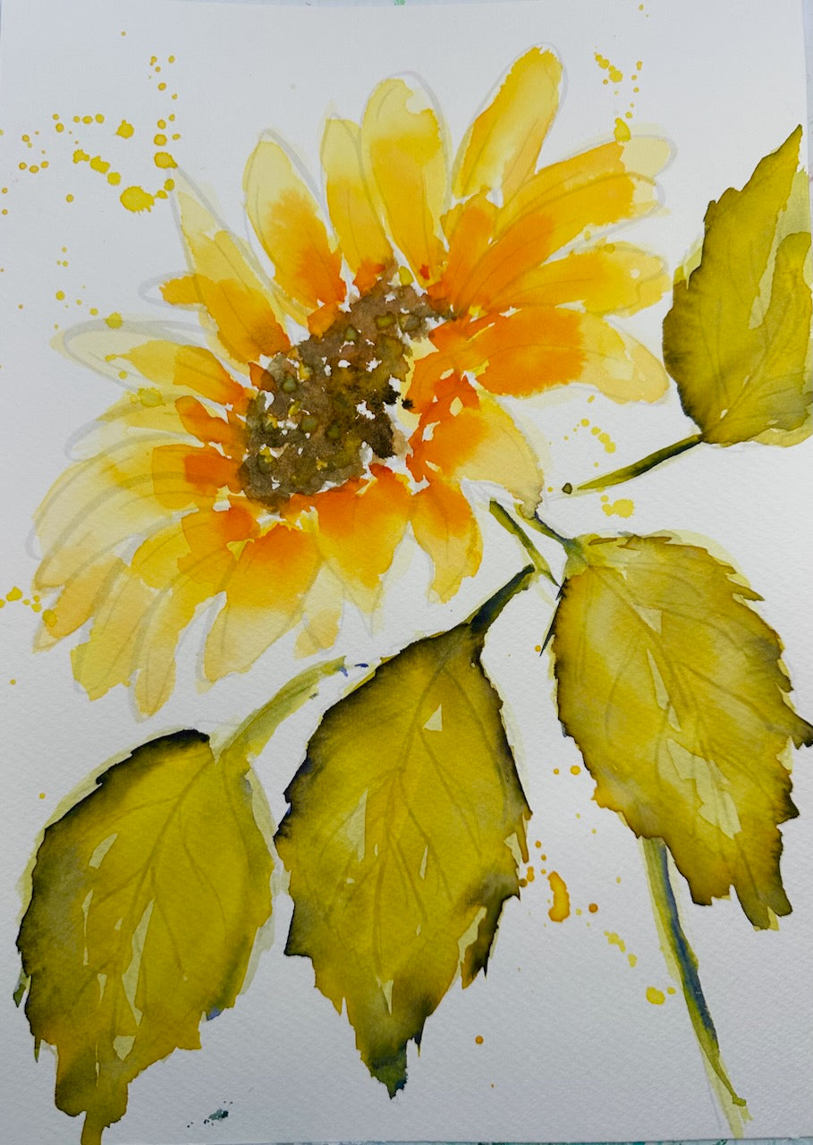 Beginners Watercolour Painting Kit
