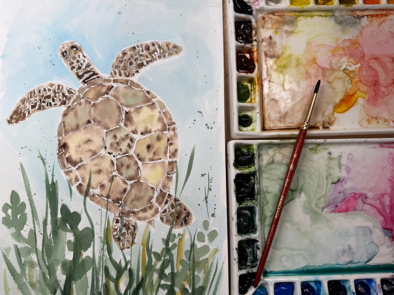 Learn to Paint a Turtle in Watercolour 🐢
