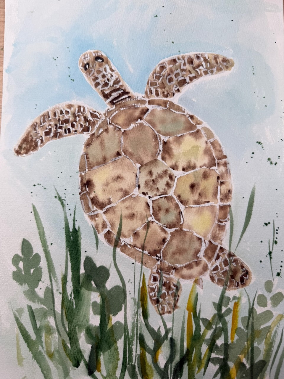 Learn to Paint a Turtle in Watercolour 🐢